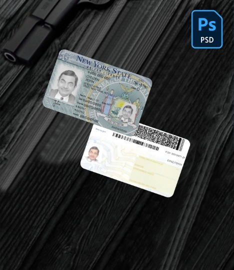 USA New York driving license version 2 PSD